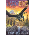 As the Falcon Flies