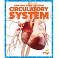 Circulatory System