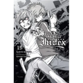 A Certain Magical Index, Vol. 19 (Light Novel)