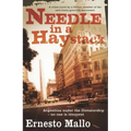 Needle in a Haystack