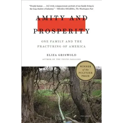 Amity and Prosperity: One Family and the Fracturing of America