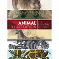 Animal Illustration: The Essential Reference
