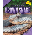 Eastern Brown Snake