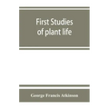 First studies of plant life