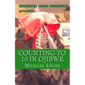 Counting to 10 in Ojibwe: A Boozhoo Nana Boozhoo Book