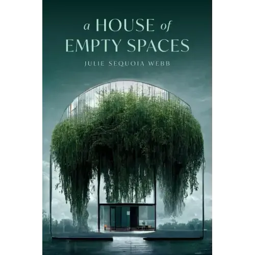 A House of Empty Spaces