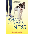 What Comes Next