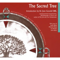 Sacred Tree: Reflections on Native American Spirituality