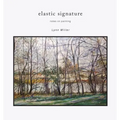 Elastic Signature: Notes on Painting