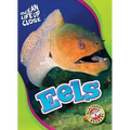 Eels