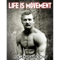 Life is Movement: The Physical Reconstruction and Regeneration of the People (A Diseaseless World)