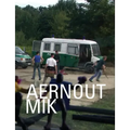 Aernout Mik