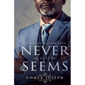 Never As It Seems: Never As It Seems Serial Book 1