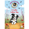 Jasmine Green Rescues: A Collie Called Sky