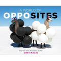 A World of Opposites: A Picture Book