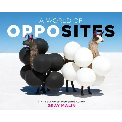 A World of Opposites: A Picture Book