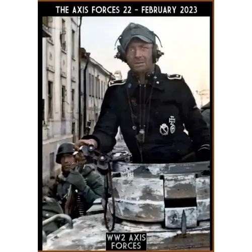 The Axis Forces 22