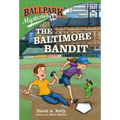 Ballpark Mysteries #15: The Baltimore Bandit