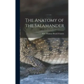 The Anatomy of the Salamander