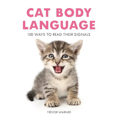 Cat Body Language: 100 Ways to Read Their Signals