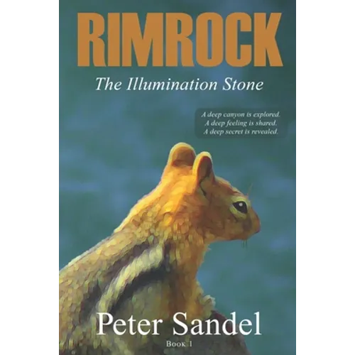 The Illumination Stone