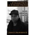 A Collection of Collections: Black American Poetry