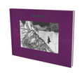 Daniel Richter - 10001 Nights: Cat. Kestnergesellschaft Hanover