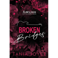 Broken Bridges: A Slow Burn Rockstar Romance - DISCREET SPECIAL EDITION