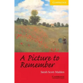 A Picture to Remember Level 2
