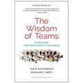 The Wisdom of Teams: Creating the High-Performance Organization