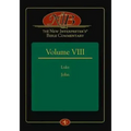 The New Interpreter's(r) Bible Commentary Volume VIII: Luke and John