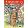 Big Brown Bear