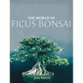 The World of Ficus Bonsai