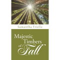 Majestic Timbers of Fall