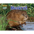 Muskrat
