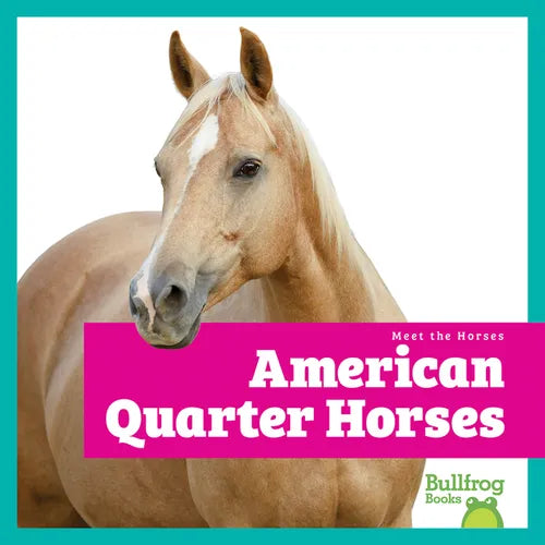 American Quarter Horses
