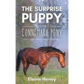 The Surprise Puppy and the Connemara Pony - The Coral Cove Horses Series
