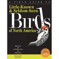 A Field Guide to Little-Known and Seldom-Seen Birds of North America