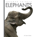 Elephants
