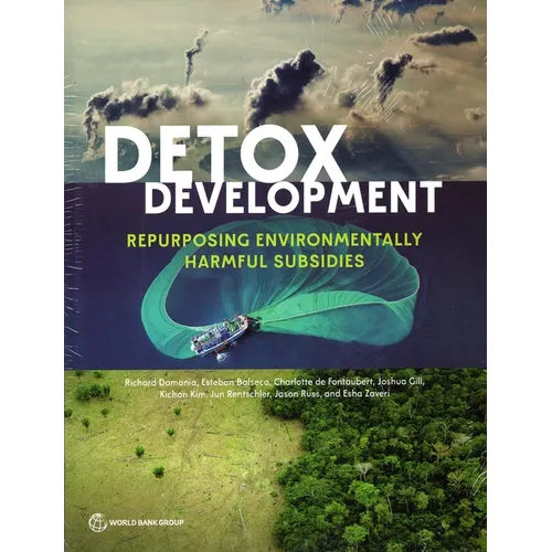Detox Development: Repurposing Environmentally Harmful Subsidies