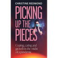 Picking up the Pieces