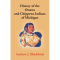 History Of The Ottawa And Chippewa Indians Of Michigan: A Grammar Of Their Language, And Personal And Family History Of The Author