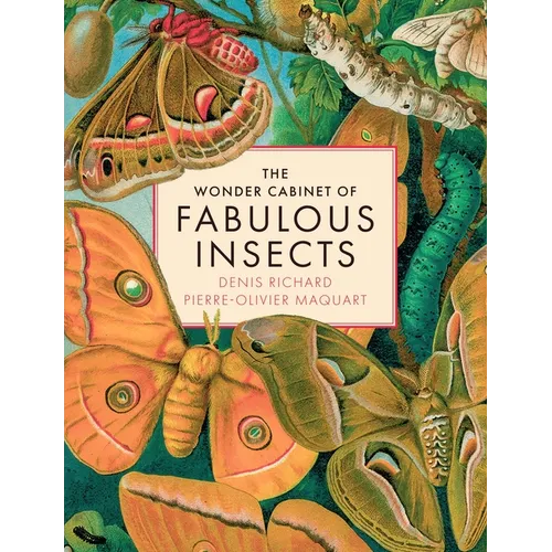 The Wonder Cabinet of Fabulous Insects: Secrets of the World's Rarest and Strangest Insects