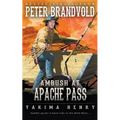 Ambush at Apache Pass: A Western Fiction Classic