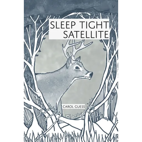 Sleep Tight Satellite: Stories