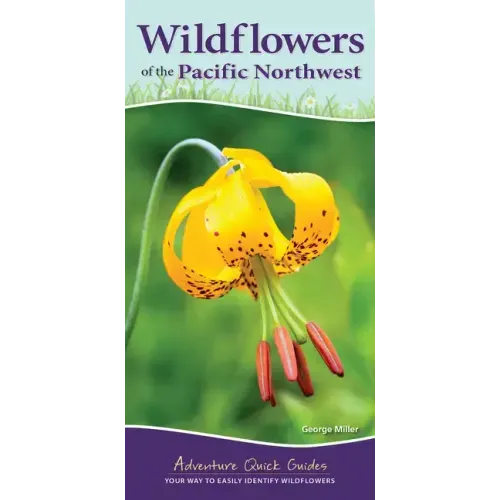 Wildflowers of the Pacific Northwest: Your Way to Easily Identify Wildflowers
