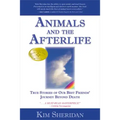 Animals and the Afterlife: True Stories of Our Best Friends' Journey Beyond Death