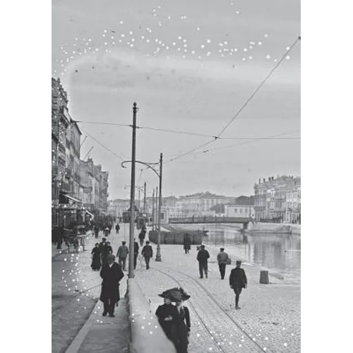 Carnet Blanc, Port de Sète
