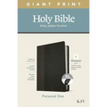 KJV Personal Size Giant Print Bible, Filament Enabled Edition (Leatherlike, Black/Onyx, Indexed)