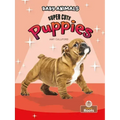 Super Cute Puppies